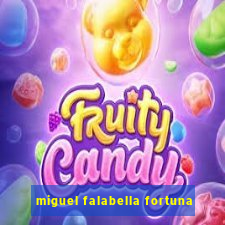 miguel falabella fortuna